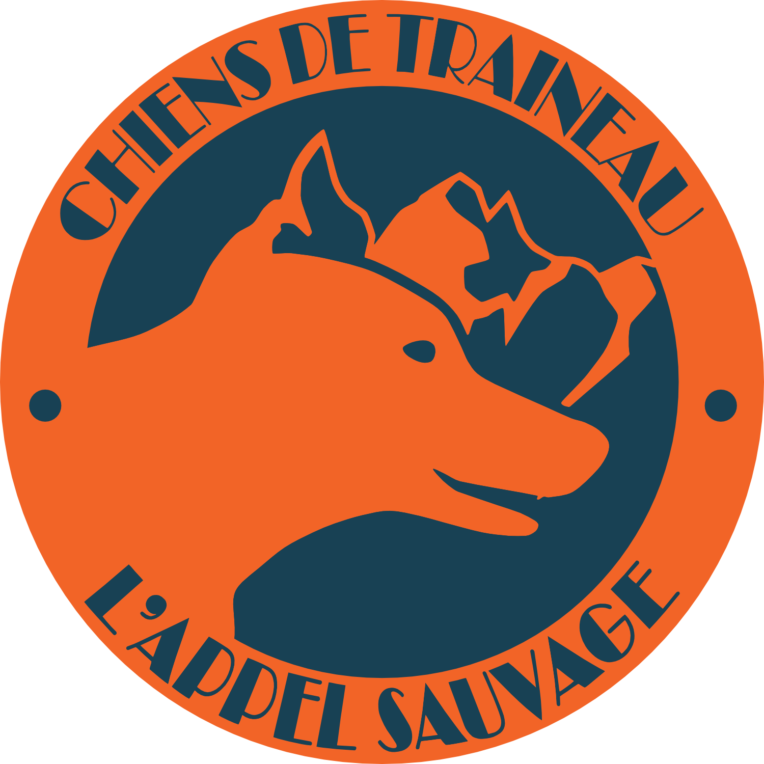 L'Appel Sauvage® - Chiens de traîneau